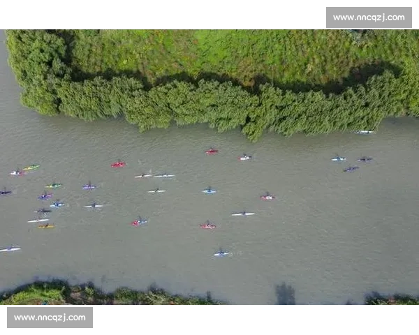 诸暨白塔湖：生态湿地里的桨板竞速赛
